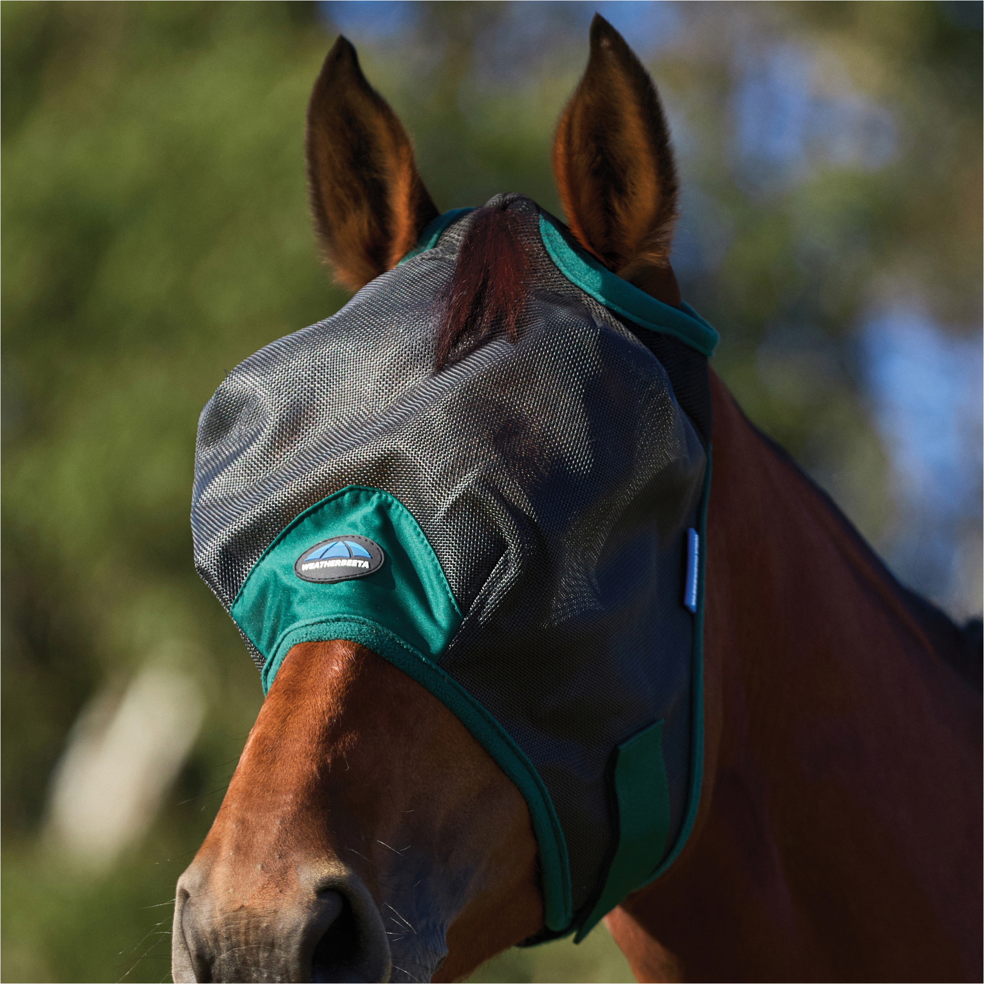 2026 WeatherBeeta Comfitec Durable Mesh Fly Mask 1029727006 - Black / Forest Green